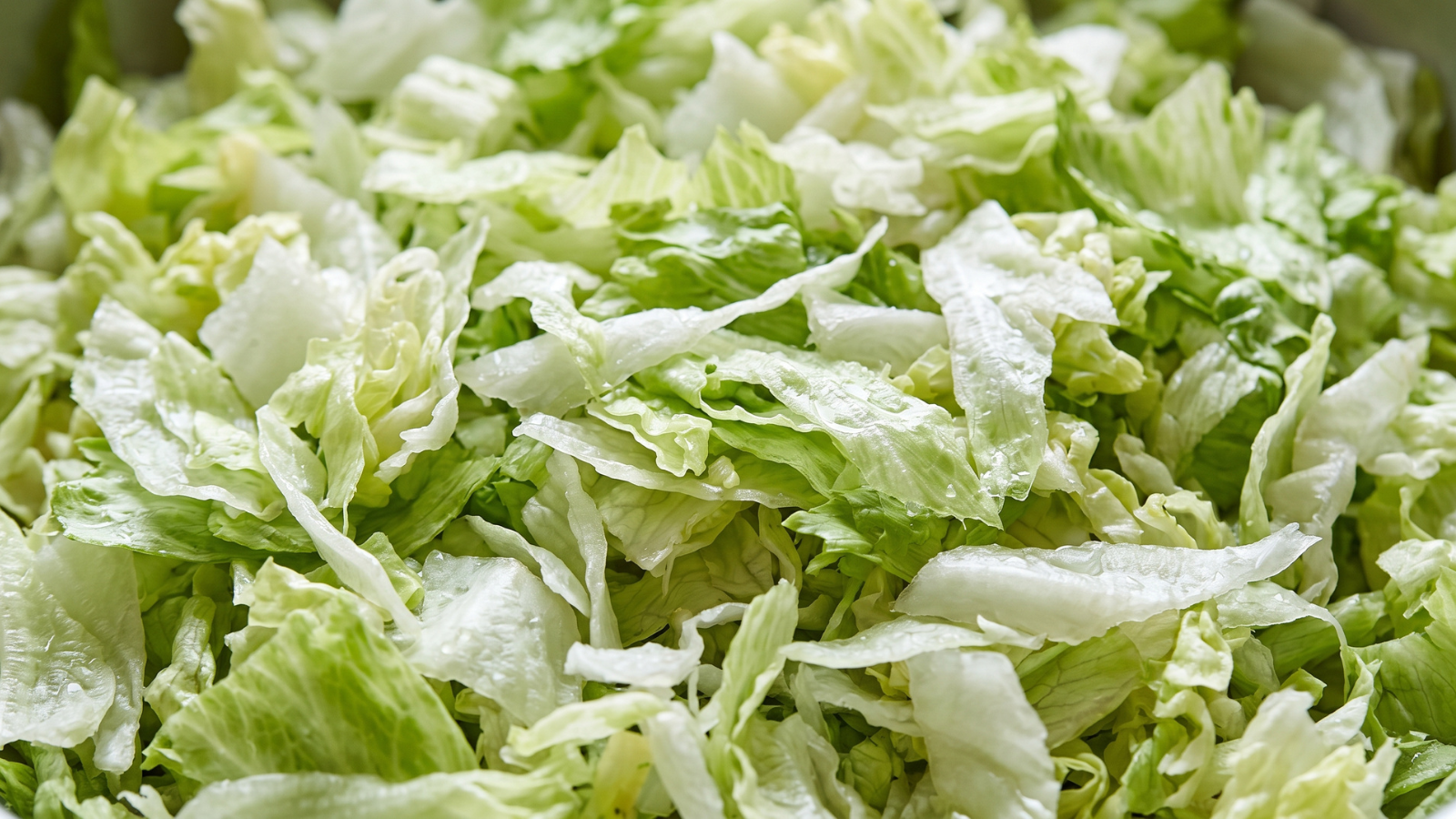 close up of chopped iceberg lettuce